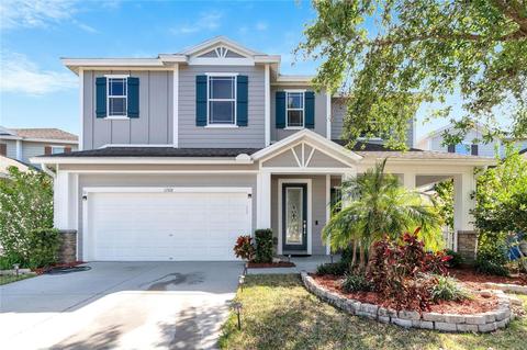 11528 Balintore Dr, Riverview, FL 33579 photo 1
