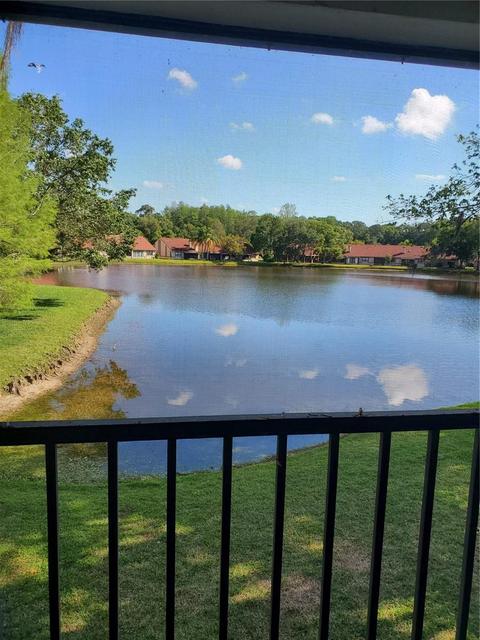 3423 Mermoor Dr #206, Palm Harbor, FL 34685