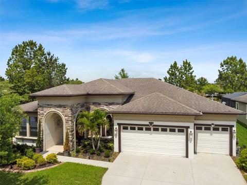 8528 Swiss Chard Cir, Land O Lakes, FL 34637