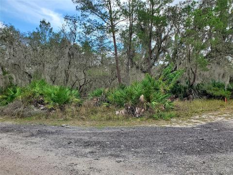 307 Gray Rd, Lithia, FL 33547 photo 1
