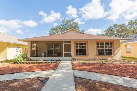 10318 Summerview Cir, Riverview, FL 33578 photo 1