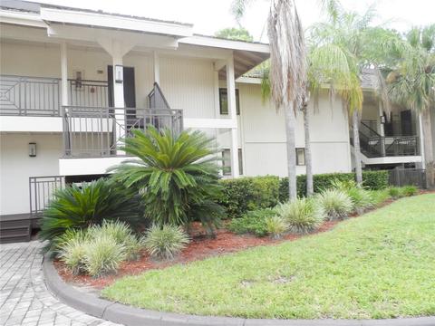4752 Fox Hunt Dr #818, Wesley Chapel, FL 33543