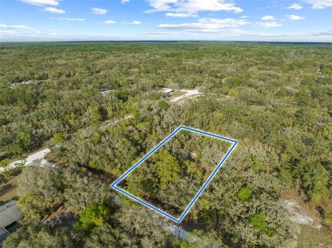 7470 Wagers Dr, Webster, FL 33597