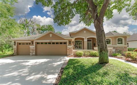 6122 Ibispark Dr, Lithia, FL 33547 photo 1