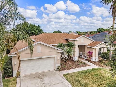 11036 Stone Branch Dr, Riverview, FL 33569 photo 1