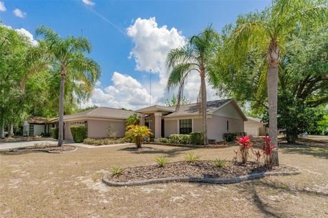 13301 Hollowbend Ln, Riverview, FL 33569 photo 1