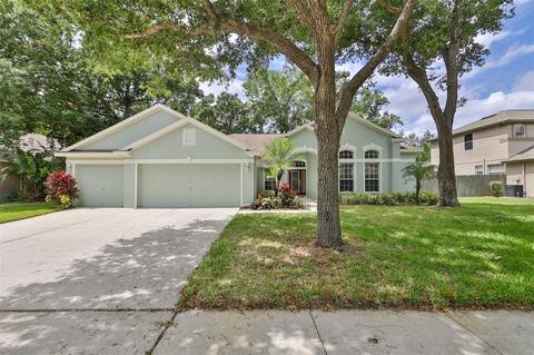 12618 River Birch Dr, Riverview, FL 33569 photo 1