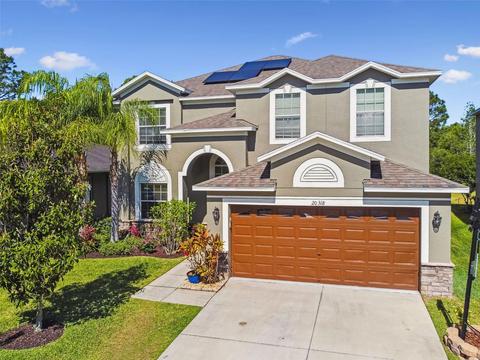 20318 Autumn Fern Ave, Tampa, FL 33647