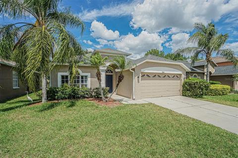 10641 Firebrick Ct, Trinity, FL 34655 photo 1