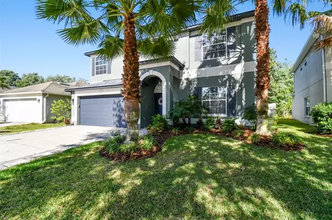 3221 Dunstable Dr, Land O Lakes, FL 34638