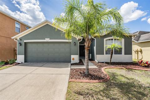 8909 Sandy Plains Dr, Riverview, FL 33578 photo 1
