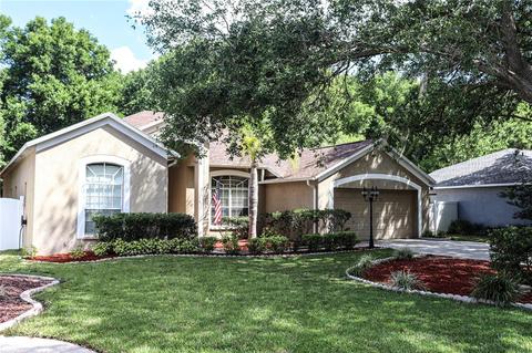 2229 Towering Oaks Cir, Seffner, FL 33584 photo 1