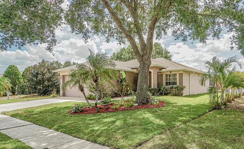 1421 Birchstone Ave, Brandon, FL 33511