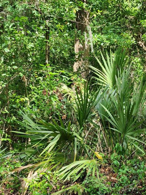 Undisclosed, Brooksville, FL 34601