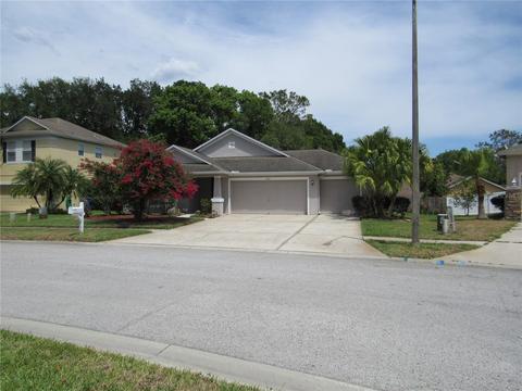 4652 Braesgate Ct, Land O Lakes, FL 34639