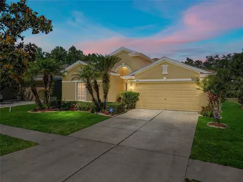 3011 Gem Luster Ct, Valrico, FL 33594