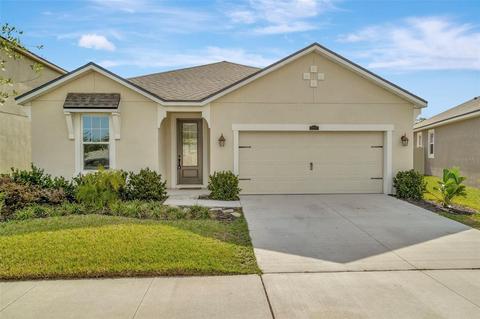 11557 Cedar Valley Dr, Riverview, FL 33569