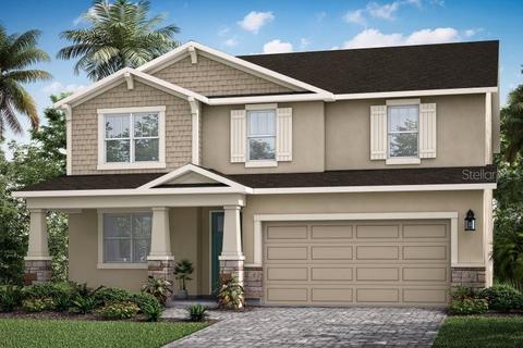 19696 Blue Pond Dr, Lutz, FL 33558