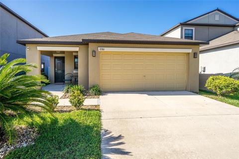 12761 Lemon Pepper Dr, Riverview, FL 33578 photo 1