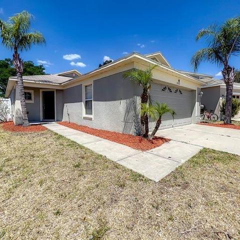 8105 Canterbury Lake Blvd, Tampa, FL 33619