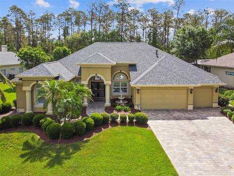 2818 Blue Springs Pl, Wesley Chapel, FL 33544