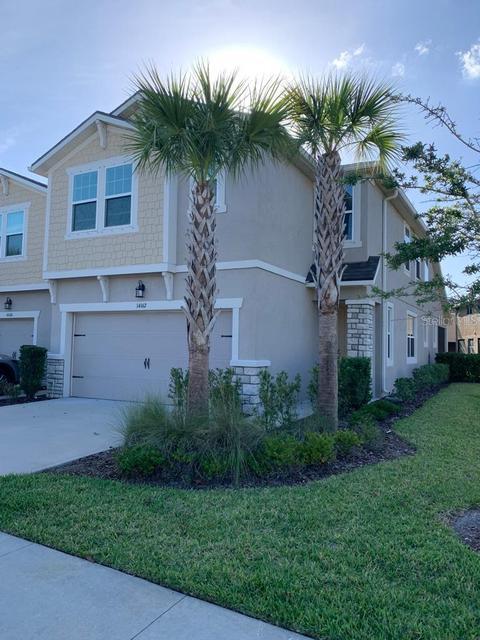 14162 Damselfly Dr, Tampa, FL 33625