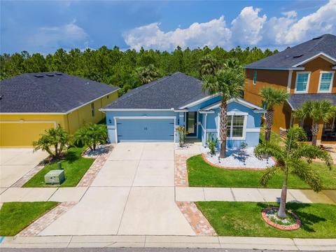 5050 Inshore Landing Dr, Apollo Beach, FL 33572