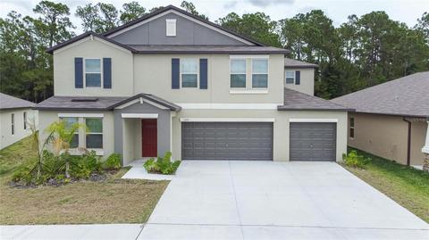 13515 Willow Bluestar Loop, Riverview, FL 33579 photo 1
