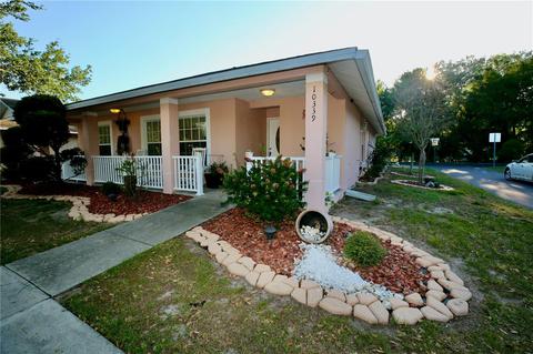 10339 Summerview Cir, Riverview, FL 33578 photo 1
