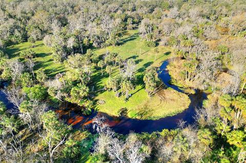 12550 Amber Ln, Lithia, FL 33547