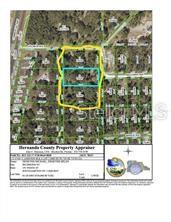 Richmond Street, Weeki Wachee, FL 34614