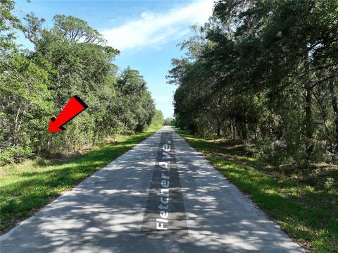 436 Fletcher Ave, Lake Placid, FL 33852