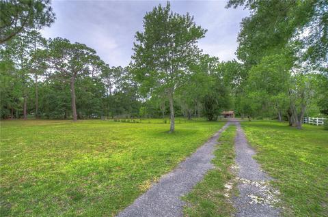 7753 Tallowtree Dr, Wesley Chapel, FL 33544