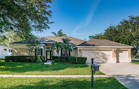 2806 Clover Dew Ct, Valrico, FL 33596