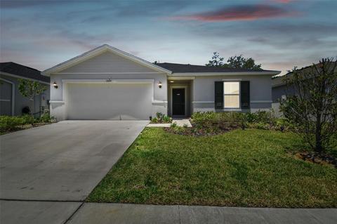 3884 Reflection Dock Dr, Seffner, FL 33584 photo 1