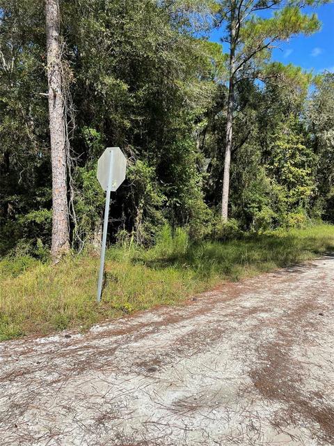 Wilford, Webster, FL 33597
