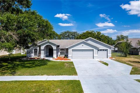 12231 Langshaw Dr, Thonotosassa, FL 33592