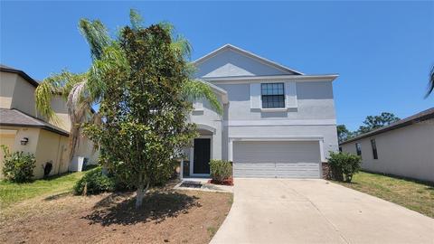 13222 Wellington Hills Dr, Riverview, FL 33579