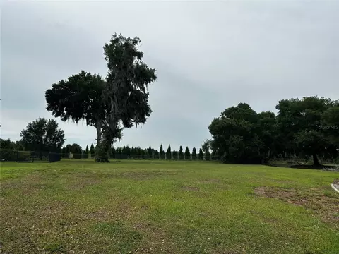 10932 Flint Estates Dr, Thonotosassa, FL 33592