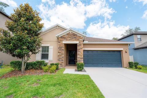 11915 Twilight Darner Pl, Riverview, FL 33569