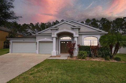 7346 Crescent Palm Dr, Wesley Chapel, FL 33545