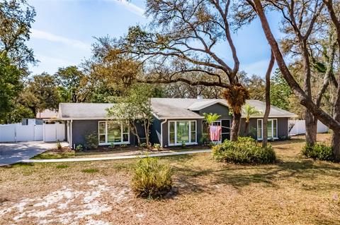 11208 Leprechaun Dr, Riverview, FL 33569