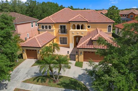 8419 Dunham Station Dr, Tampa, FL 33647