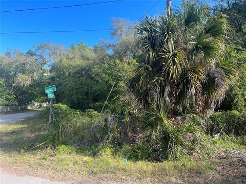 Loras Street, New Port Richey, FL 34654