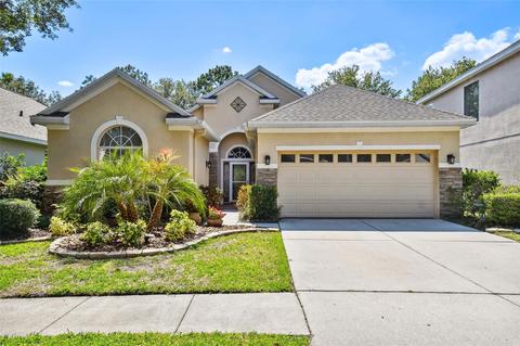 17906 Timber View St, Tampa, FL 33647