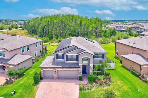 10739 Pleasant Knoll Dr, Tampa, FL 33647