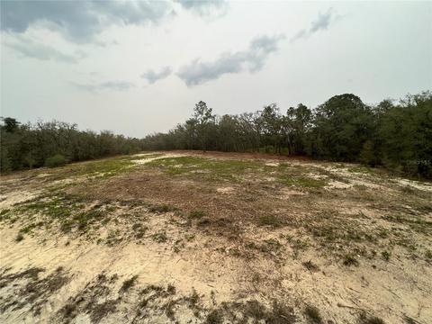 Lot 9 Grindstone Drive, Webster, FL 33597