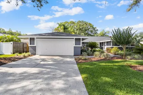 5804 Lady Bug Ct, Tampa, FL 33625