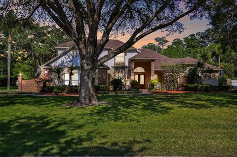 16211 Sentry Woods Ct, Odessa, FL 33556