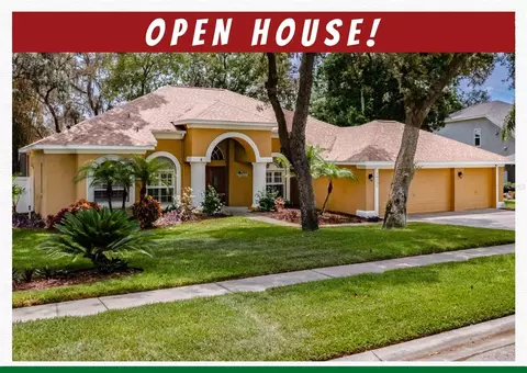 10131 Paddock Oaks Dr, Riverview, FL 33569